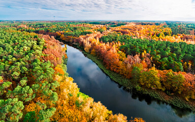 Yellow and green forest and autumn river