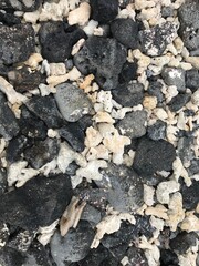 Volcanic white, grey and black stone beach in the Galapagos, gritty textured background for natural...
