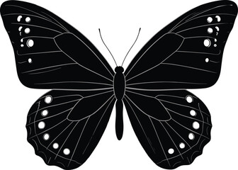 Black and white vector illustration of detailed butterfly with patterned wings, symmetrical design, nature insect art, and decorative graphic elements
