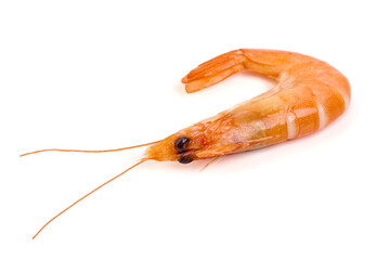 Cooked Shrimp, isolated on white background