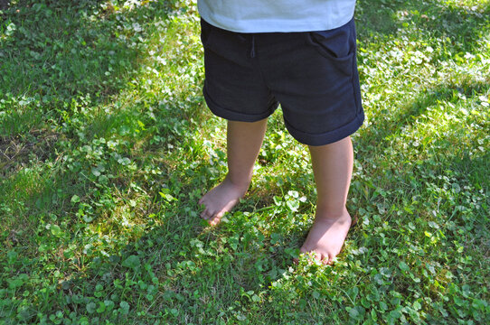 Child’s bare feet standing on green grass in summer garden. Close-up view of legs in shorts, natural outdoor scene with sunlight and greenery.
 - Powered by Adobe