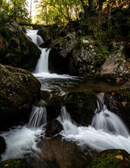 Fototapeta premium Cascading waterfall in a mossy forest