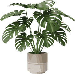 Photorealistic monstera plant in modern ceramic pot, high-resolution indoor tropical foliage for interior decor, design mockups, and prints
