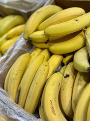 Come and discover the vibrant, eyecatching yellow bananas that are truly appealing and delightful. Vibrant and bountiful assortment of ripe, yellow bananas stacked attractively for eager sale