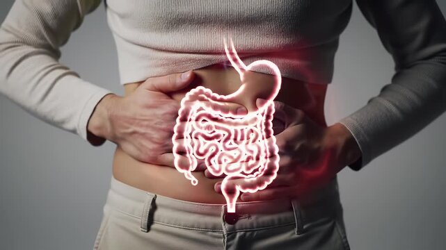 Torso of Person in Light Pants with Red Digestive System Overlay Representing Abdominal Pain and Digestive Health Issues Against a Neutral Gray Background for Medical Awareness and Advertising
