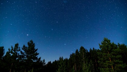 Starry night over a dark forest