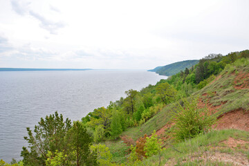 Scenic view of a river and forested shoreline under a cloudy sky