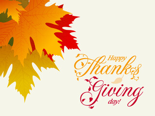 A close-up arrangement of vibrant autumn leaves in shades of red, yellow, and orange, presented on a clean white background. Ideal for seasonal designs or advertisements.