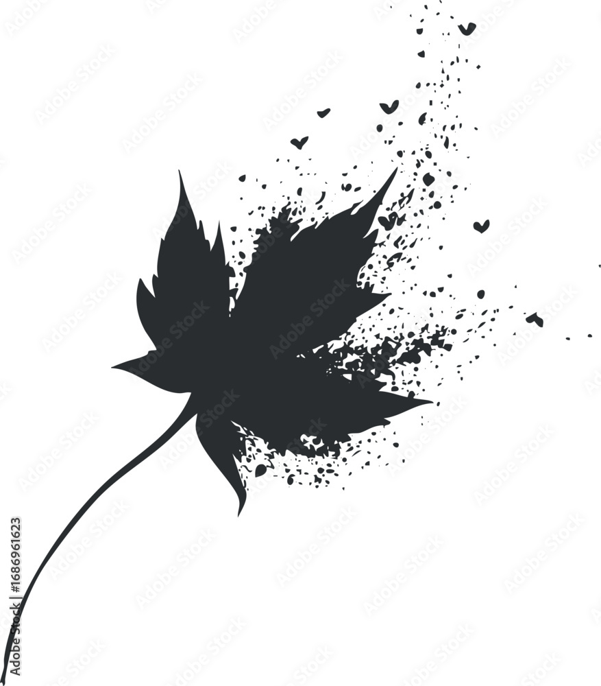 Poster black silhouette of a maple leaf with artistic splatter effect symbolizing decay or transformation.
