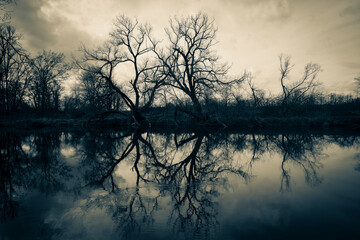 Moody nature by the lake