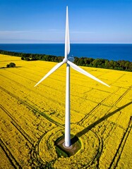 Aerial view of wind turbine in a field of rapeseed