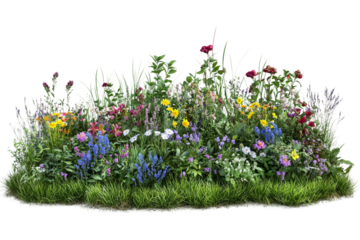 Lush garden patch with vibrant green grass isolated on transparent background