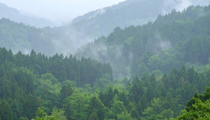 Misty mountain range shrouded in lush green forest