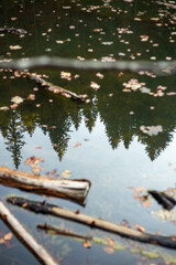 The reflection of mountain fir trees on a lake. The image captures the magical and mysterious atmosphere of an alpine forest, with autumn colors and water reflections.