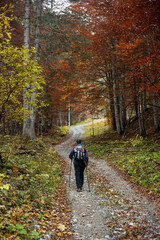 Obraz premium A hiker walks on a mountain trail in autumn, surrounded by the warm colors of the foliage. The image evokes the pleasure of solitary walks in nature.