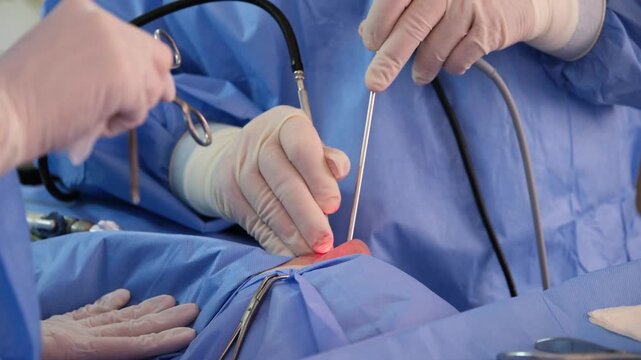 Medical professionals conduct a precise surgical procedure, utilizing specialized tools and techniques to minimize invasiveness and promote patient recovery
