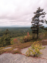 A view from the Wapack Trail in Southern New Hampshire. The photo is looking towards Mount Monadnock in the distance between the trees. Grasses and spruce trees grow on the ridgeline.