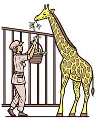 vector of a zookeeper holding a basket of leaves, feeding a tall giraffe inside enclosure, clean style on white

