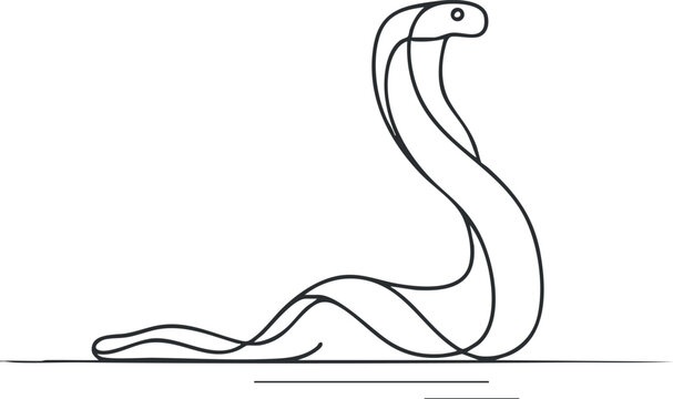 Black and white line art drawing of a cobra snake in a defensive posture with hood expanded on white background