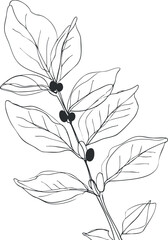 Naklejka premium Black and white line drawing of a botanical branch with leaves and berries in simple outline style