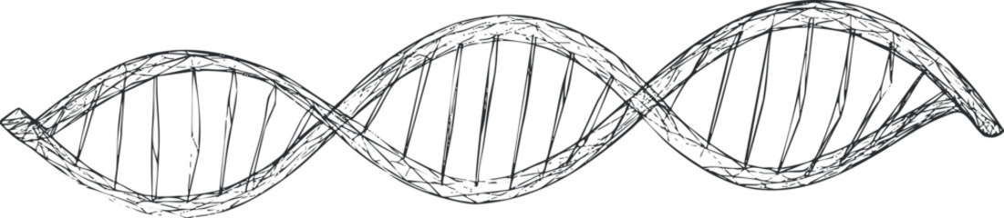 Hand drawn sketch of a DNA double helix structure representing genetics and molecular biology concepts