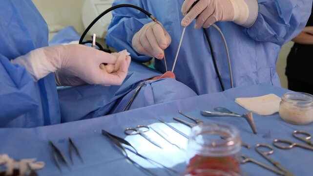 Medical professionals in sterile surgical attire meticulously perform an endoscopic sinus surgery, utilizing specialized instruments and techniques within a controlled operating room environment