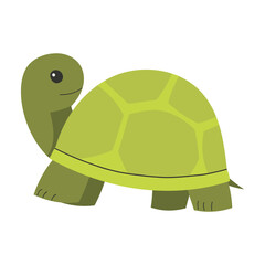Cartoon Illustration of a Green Turtle