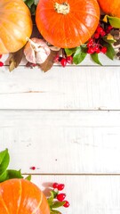 Autumnal pumpkins and fall foliage on a white wooden surface