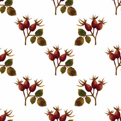 Seamless delicate watercolor pattern with red rose hips on a white background. Hand drawn pattern.
