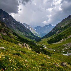 Obraz premium Mountain valley with wildflowers (2)