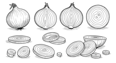 Fresh organic allium cepa vegetables displayed in different styles and cuts ready for culinary use