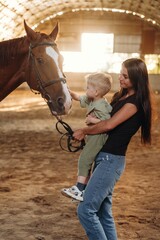 Curious kid is touching the animal. Mother and little son are with horse in hangar