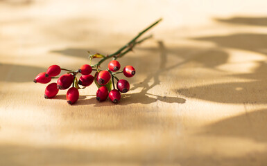 Fresh ripe rose hips in basket on the rustic background, close-up photo. Healthy nutrition concept.