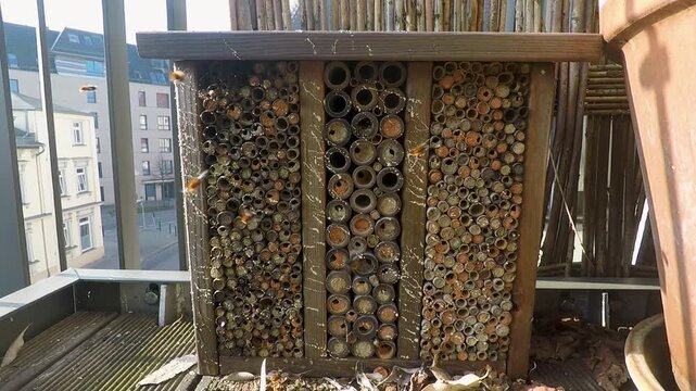 Wildbienen-Hotel auf einem Balkon