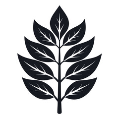 Elegant ash leaf silhouette on a clean white background