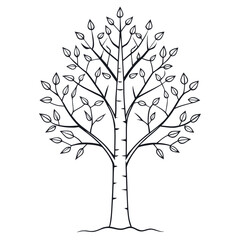 Obraz premium Minimalist birch tree outline on white background