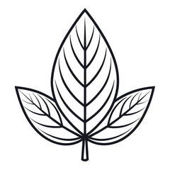 Simple outline of a pinnate leaf on a white background
