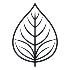 Simple single leaf outline on a clean white background