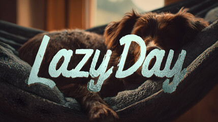 lazy day