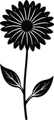 Black and white daisy flower vector illustration with floral elements
