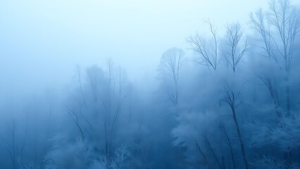 Misty winter forest with frozen trees and soft fog layers, evoking a serene atmosphere.