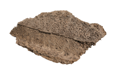 A large, multi-layered image of a termite nest in PNG format. A clear concept of pest control, home infestation, and extermination.