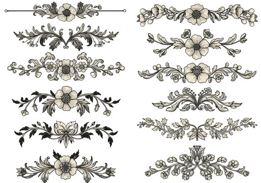 Ornamental Floral Design Elements Set on Black Background Illustration