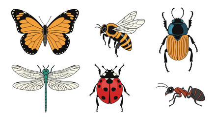 Diverse insect collection featuring butterfly, bee, beetle, dragonfly, ladybug and ant. Ideal for educational resources, nature illustrations, and entomology projects.