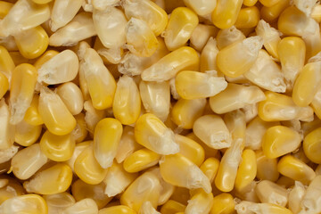 Fresh Raw Corn Kernels Macro Top View Texture