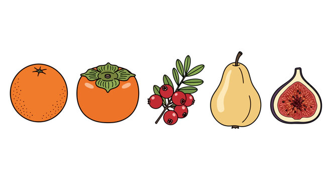 Assorted fruits and berries illustration for healthy eating and nutrition education, suitable for dietary guides, cookbooks, or educational materials on vitamins and balanced diets.