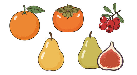 Assorted fresh fruits vector illustration featuring vibrant colors and detailed outlines, ideal for nutrition education, healthy eating campaigns, or culinary design projects.