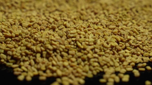 Fenugreek is a beneficial food for diabetes.