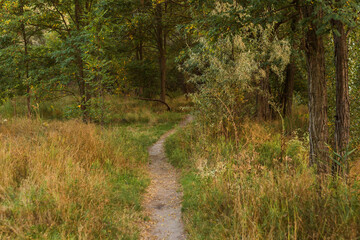 Autumn Lake with Flowers and Wildlife