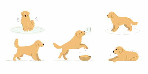 Happy golden retriever puppies in various playful poses and activities